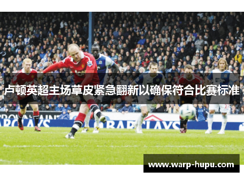 卢顿英超主场草皮紧急翻新以确保符合比赛标准