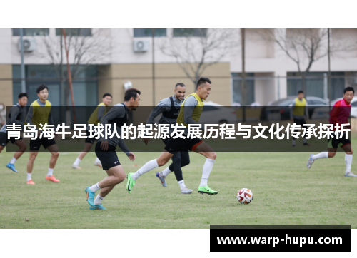 青岛海牛足球队的起源发展历程与文化传承探析