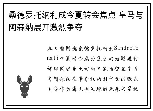 桑德罗托纳利成今夏转会焦点 皇马与阿森纳展开激烈争夺